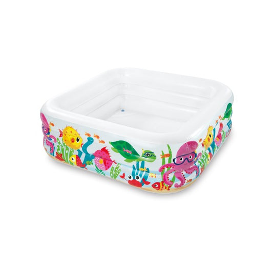62 x 62 inches Aquarium Swimming Pool 19 inches height